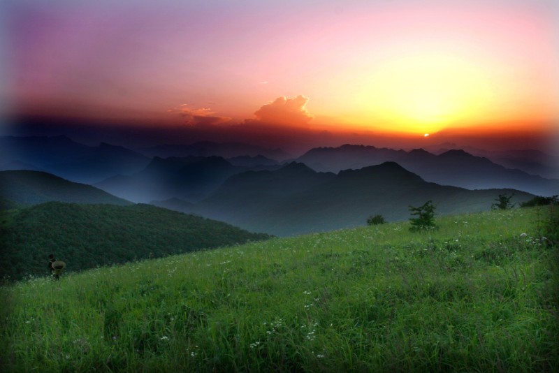 高山草甸